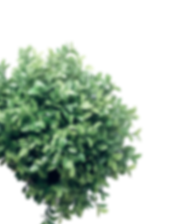 Заголовок